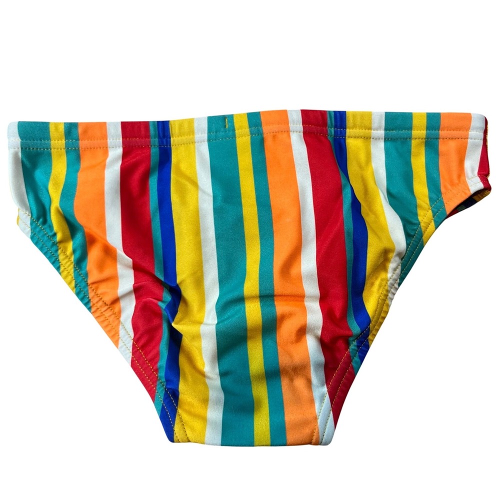 Speedo Mens Eco Endurance Swim Brief Vibe Collection Clean Stripe Multi 30 NWT - Picture 2 of 5